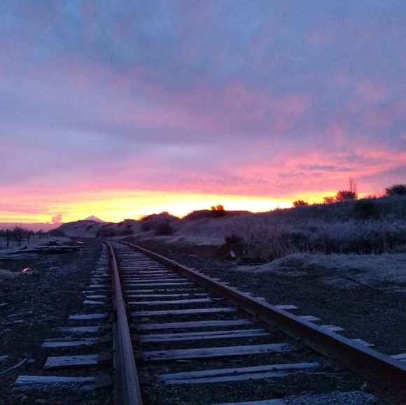 Meet your Posher, Rebecca - Picture 1 of 1